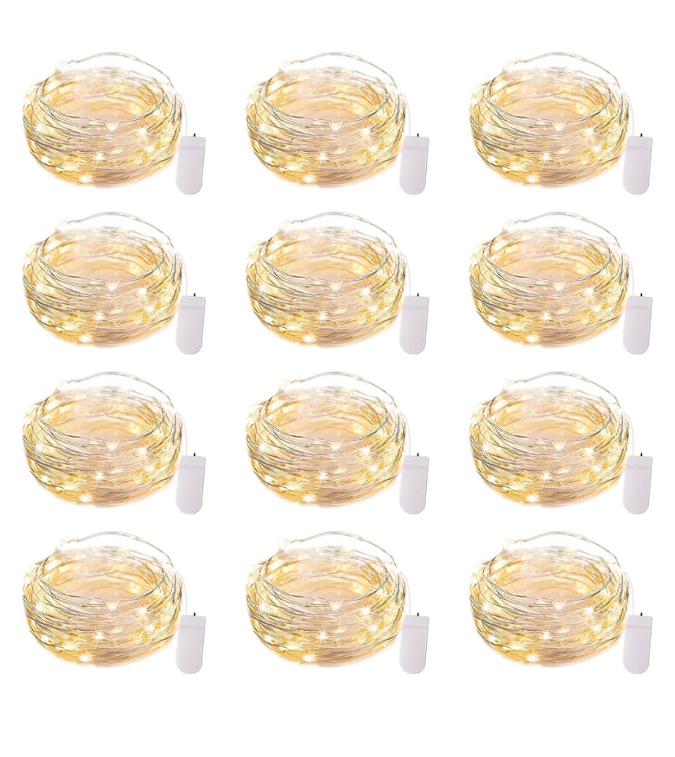 Fairy Lights 24 pack