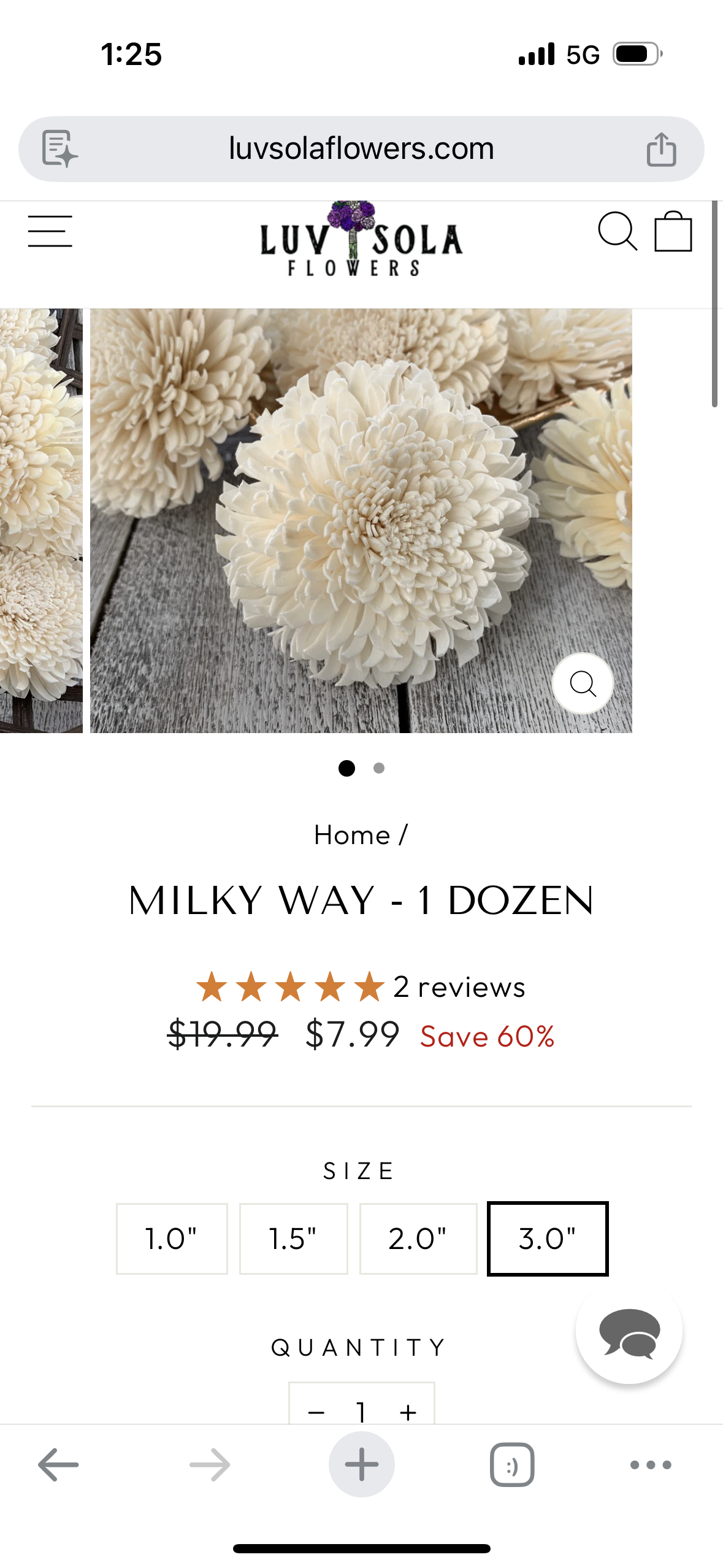 Ivory Sola Wood Flowers
