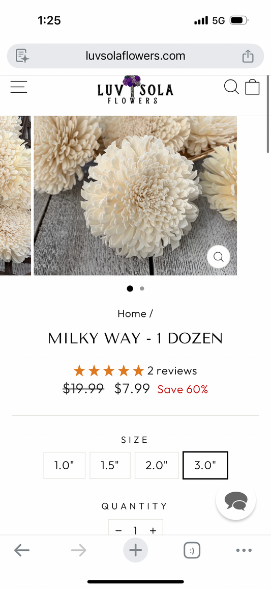 Ivory Sola Wood Flowers