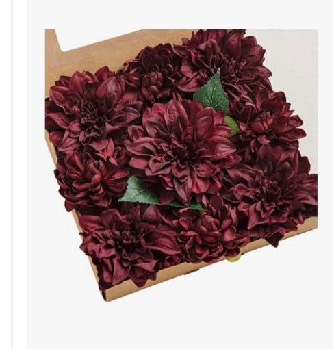 Burgundy Dahlias