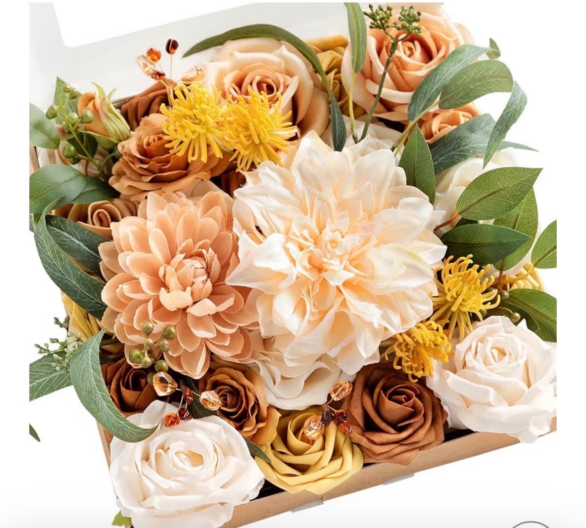 Isodora Cream Grand Box